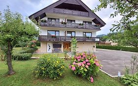 Apartment Petek